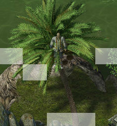 d3.png