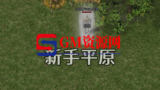 d1.png