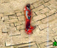 d1.png